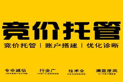 案例展示：SEM助力中小企业拓展市场